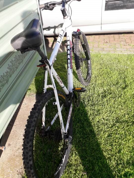 focus fatboy mountain bike